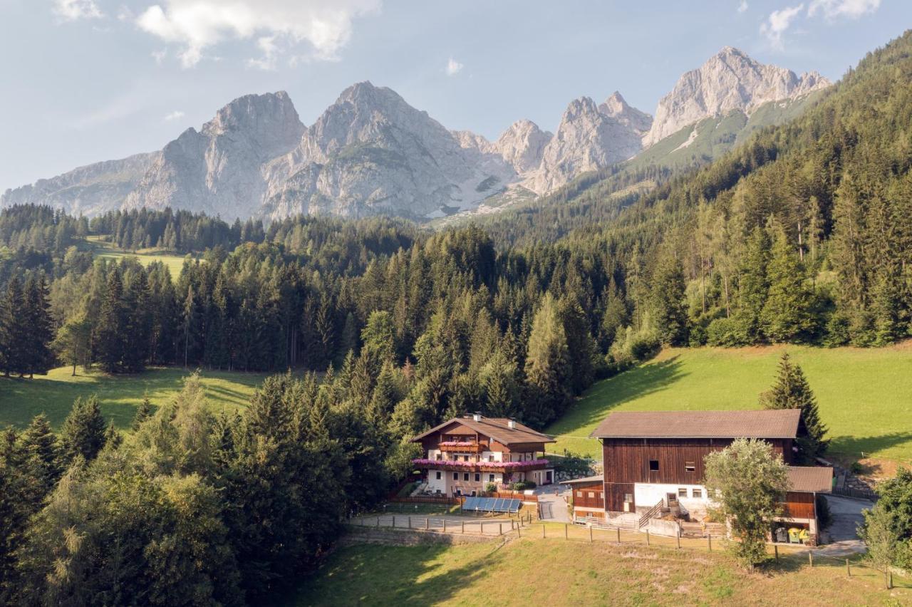 Familienbauernhof Samerhof Pfarrwerfen Εξωτερικό φωτογραφία
