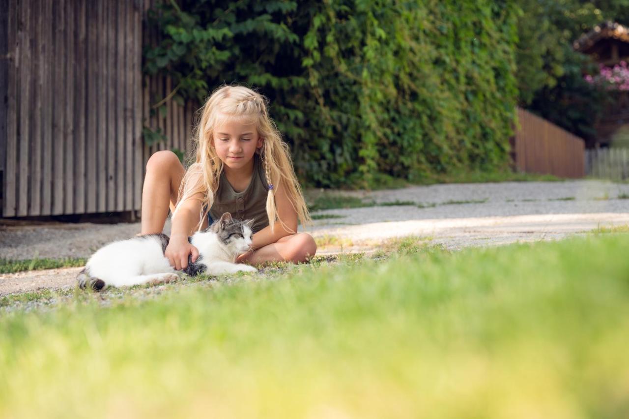 Familienbauernhof Samerhof Pfarrwerfen Εξωτερικό φωτογραφία