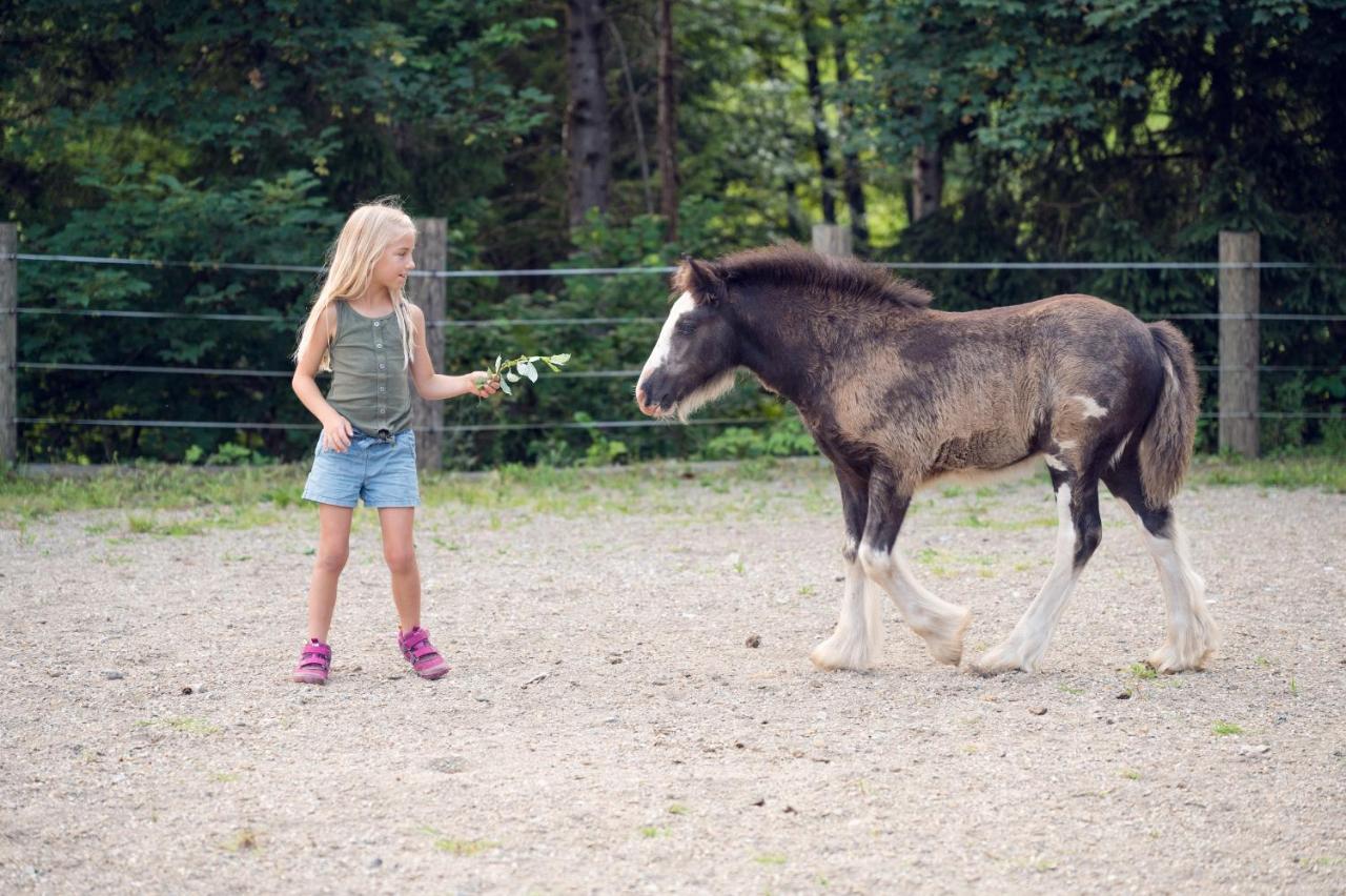 Familienbauernhof Samerhof Pfarrwerfen Εξωτερικό φωτογραφία