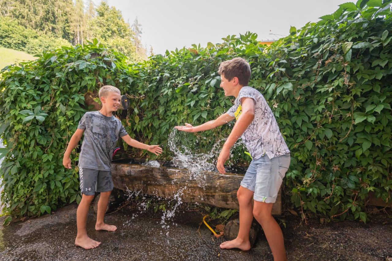Familienbauernhof Samerhof Pfarrwerfen Εξωτερικό φωτογραφία