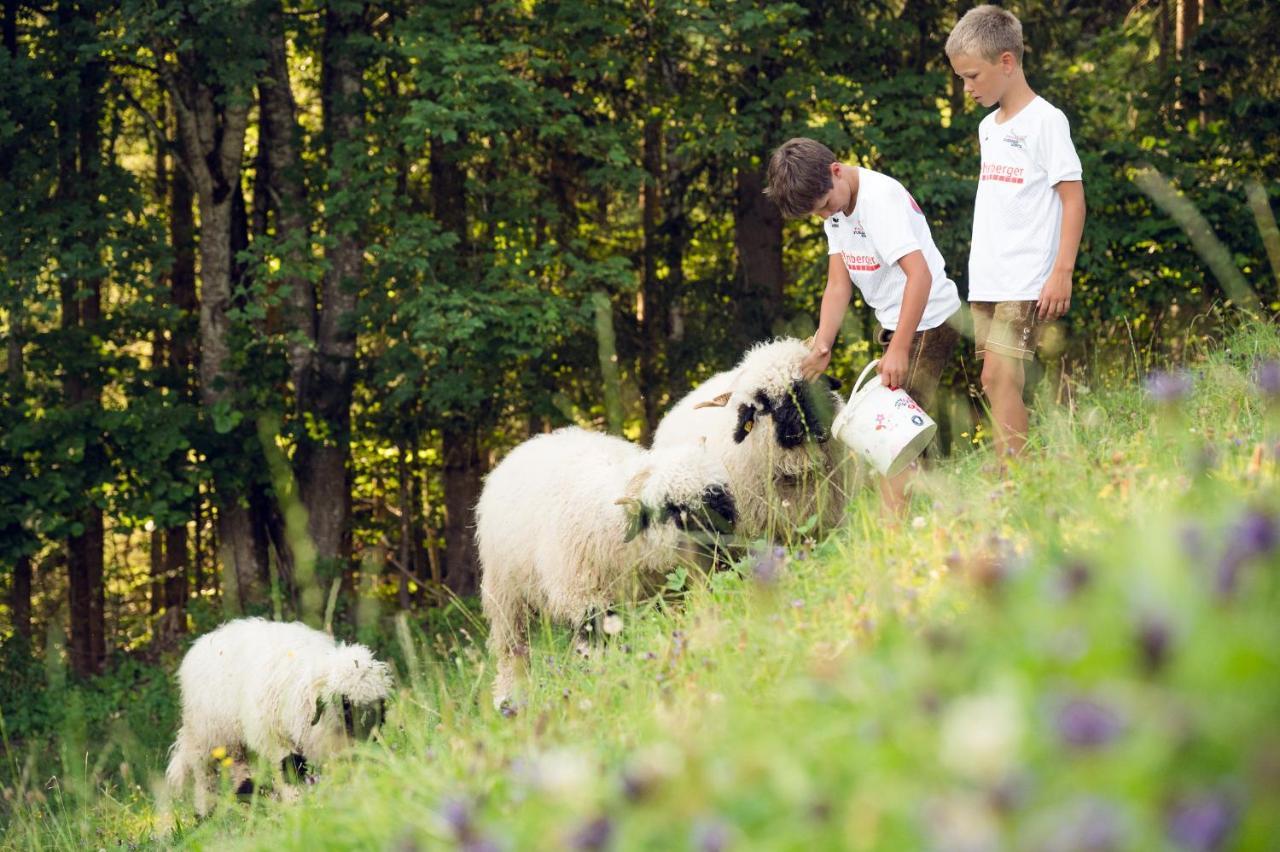 Familienbauernhof Samerhof Pfarrwerfen Εξωτερικό φωτογραφία