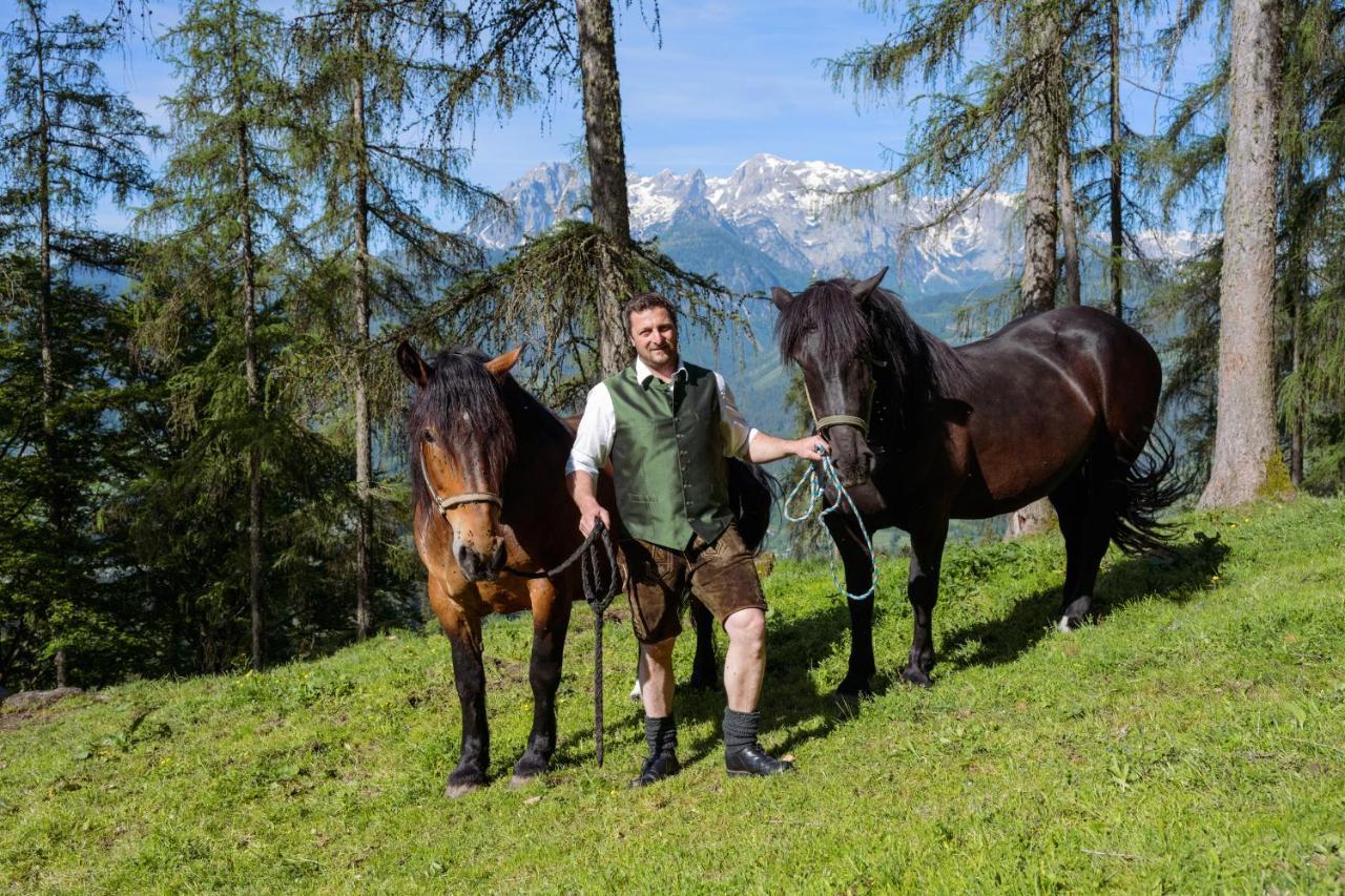 Familienbauernhof Samerhof Pfarrwerfen Εξωτερικό φωτογραφία