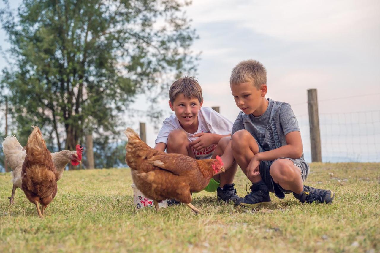 Familienbauernhof Samerhof Pfarrwerfen Εξωτερικό φωτογραφία