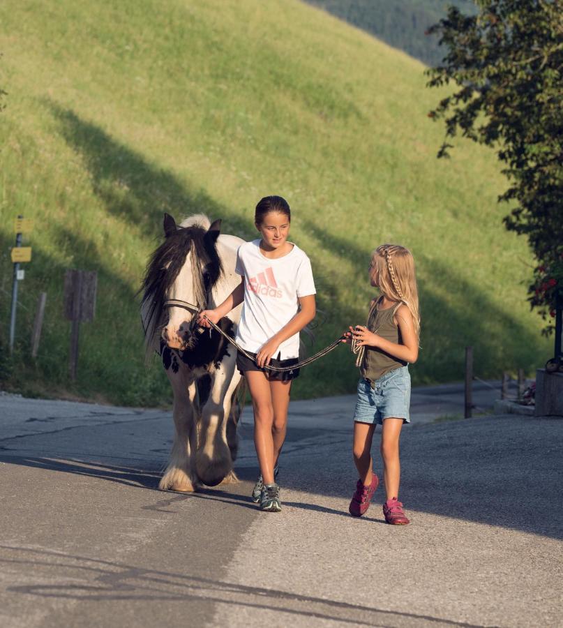 Familienbauernhof Samerhof Pfarrwerfen Εξωτερικό φωτογραφία
