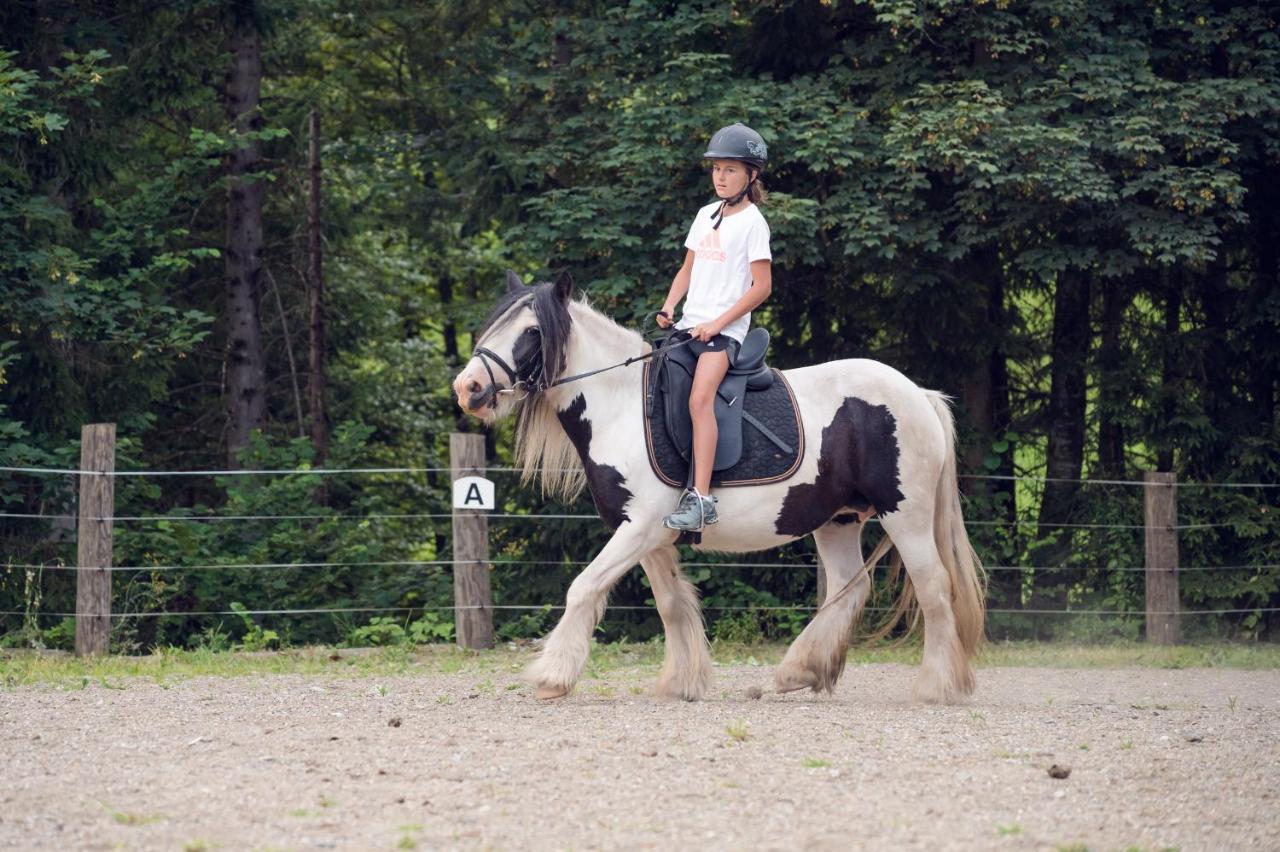 Familienbauernhof Samerhof Pfarrwerfen Εξωτερικό φωτογραφία