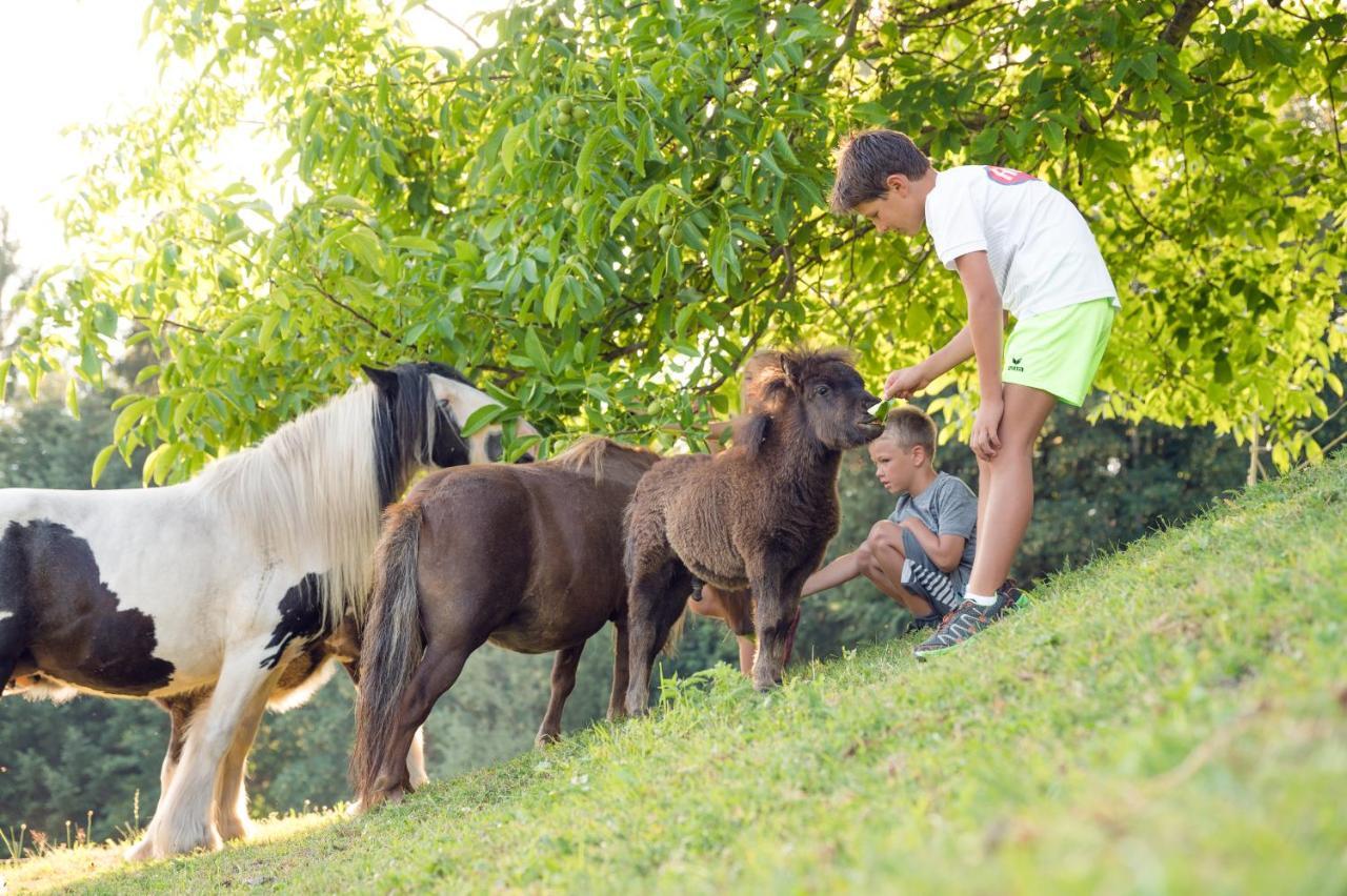 Familienbauernhof Samerhof Pfarrwerfen Εξωτερικό φωτογραφία