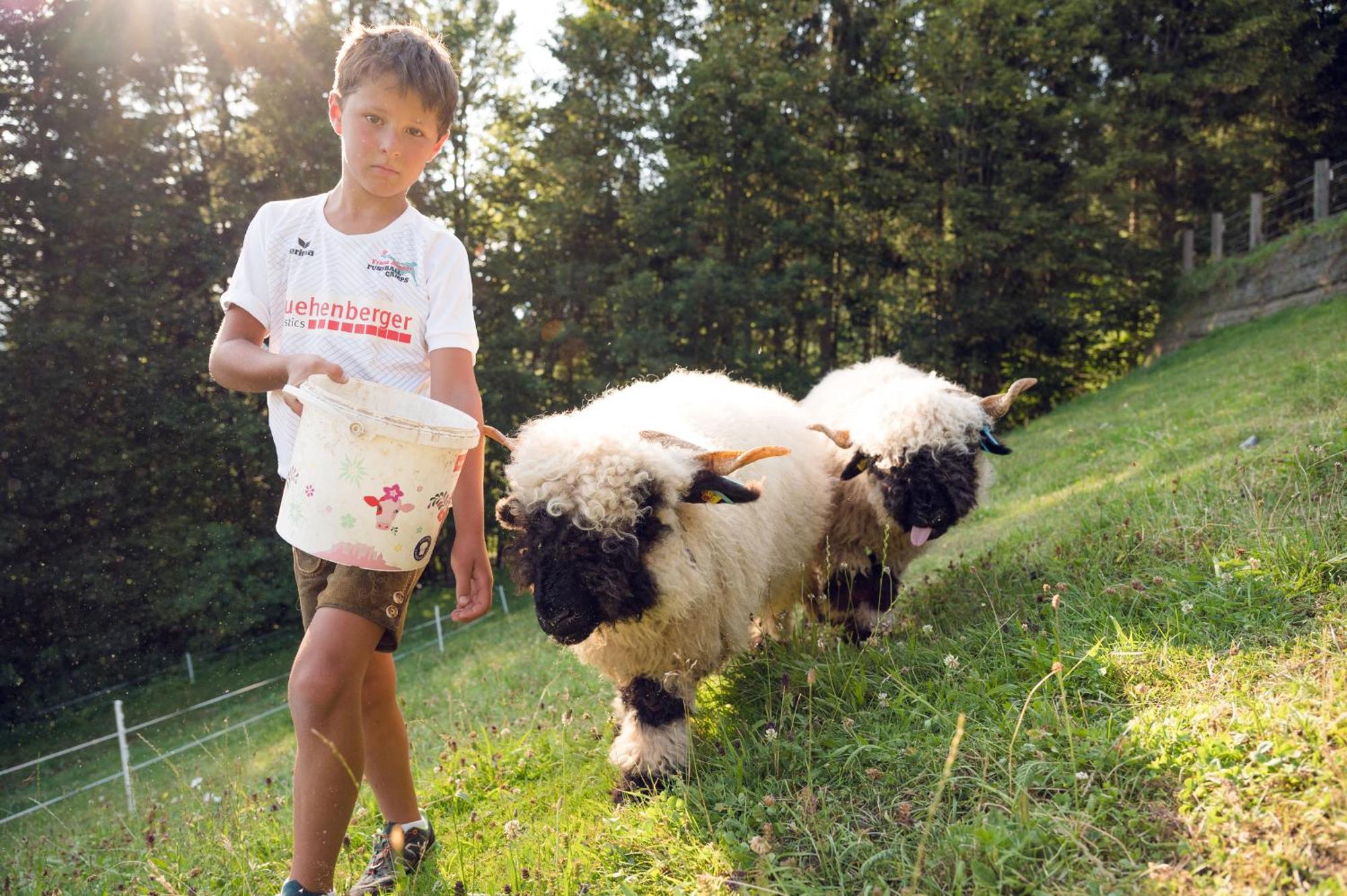 Familienbauernhof Samerhof Pfarrwerfen Εξωτερικό φωτογραφία