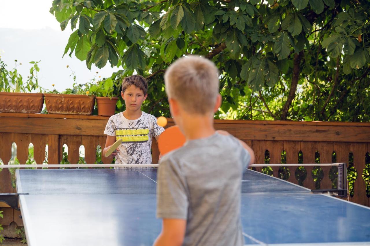 Familienbauernhof Samerhof Pfarrwerfen Εξωτερικό φωτογραφία