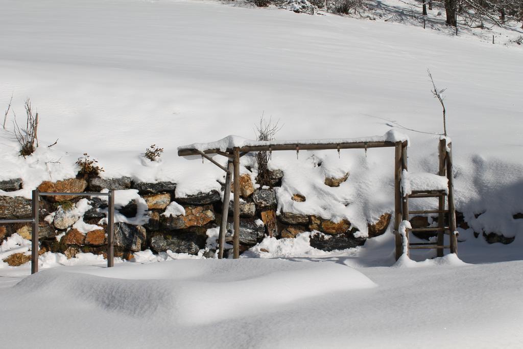 Familienbauernhof Samerhof Pfarrwerfen Εξωτερικό φωτογραφία